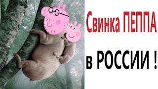 Лютые приколы. СВИНКА ПЕППА В РОССИИ!!! Попробуй не засмеяться! Самое смешное видео! – Domi Show!