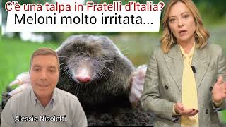 C'è una talpa in Fratelli d'Italia? Meloni molto irritata...