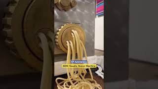 Mini noodle making machine | noodle making machine | noodle line | noodle extruder machine