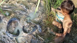 Amazing Smart Boy Fishing -How To Catch Fish By Hand Near My Village