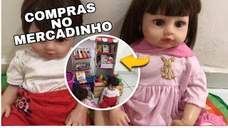 Levei Alice e Biel para fazer as primeiras compras do ano no mercadinho 🛒🤩