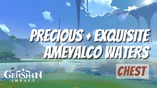 Precious + Exquisite Chest Tantangan | Ameyalco Waters | Natlan | Genshin Impact