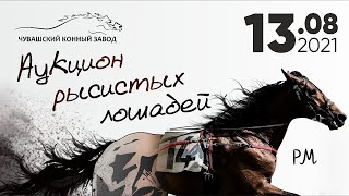 Аукцион Рысистых Лошадей в Чувашском Конном Заводе (13.08.2021)