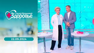 Здоровье. Выпуск от 22.09.2024