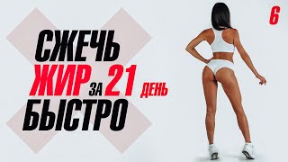 СЖЕЧЬ ЖИР БЫСТРО за 21 День. Тренировка #6