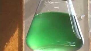 Cyanobacteria