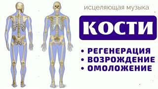 ОБНОВИ КОСТИ И СУСТАВЫ (РЕГЕНЕРАЦИЯ) ЧАСТОТЫ ШМИДТА🔆ИСЦЕЛЕНИЕ ЗВУКОМ