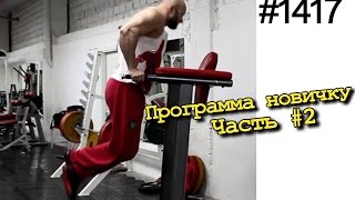 Программа тренировок для начинающих - мужчин на 3 раза в неделю. Тренировка №2 (среда) Программа