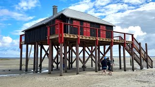 La cabane tchanquée n°3 est terminée !