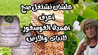 الفوسفور/السوبر فوسفات واهميته للنبات