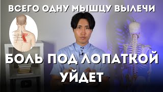 Одну мышцу вылечи и боль под лопаткой пройдет. 3 лучших способа.