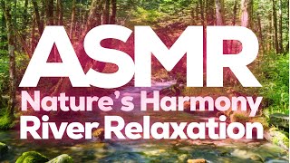 Nature's Harmony ASMR River Meditation, StevenAntonyASMR