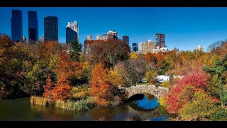 Gapstow Bridge in Central Park, New York, On the location of movie