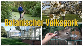 Botanischer Volkspark Blankenfelde-Pankow + Bauerngarten | Ausflugsziel #1