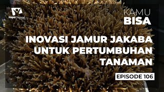 Ketahui Manfaat JAMUR JAKABA [JAMUR KEBERUNTUNGAN ABADI] Bagi Tanaman❗❗