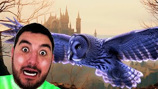 Soaring on a Massive Owl!!! Brothers: A Tale of Two Sons #2