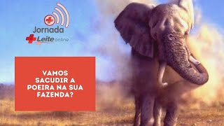 Vamos sacudir a poeira na sua fazenda?