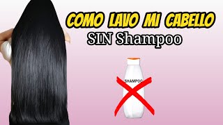 MI RUTINA DE LAVADO DEL CABELLO SIN USAR SHAMPOO