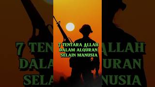 selain manusia inilah 7 tentara Alloh #hikmah #feedshorts