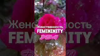 Женственность/Сексуальность/Привлекательность/Красота/Femininity/Sexuality/Beauty