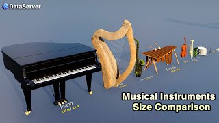 Musical Instruments Size Comparison