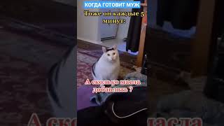 Когда готовит муж