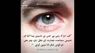 hearing sight and eyes? and you're still ungrateful. urdu reminder