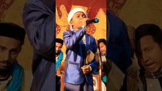 সাবচে পিয়ারে আপ নাবী রবকে দুলারে আপ নাবী//Urdu islami gojol toufik alam naat