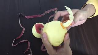 Apple Peeler