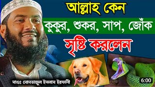 আল্লাহ কেন কুকুর শুকুর সাঁপ জোক সৃষ্টি করলেন | Maulana Momtajul Islam Irfani Kolkata