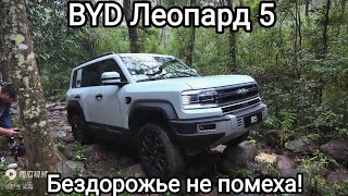 BYD Leopard 5 . 4.8 до сотни , танковый разворот и многое другое. Обзор . Тест драйв на бездорожье.