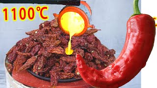 1100℃ Lava VS ghost chili|Molten copper VS Bhut Jolokia|