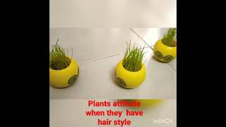 plants attitude when they have hair style