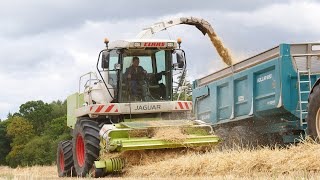 ILS ARROSENT LEUR PAILLE AVANT DE L'ENSILER !!!