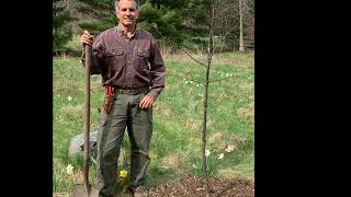 JoinTrees: Mennonite Men's campaign to plant 1,00,000 trees to restore the earth