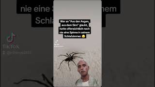 Wenn die Spinne plötzlich im Raum verschwindet #lustig