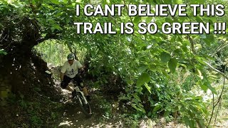 RIDING TINY TRAILS IN PARADISE