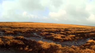 Waun Fach - The Bog