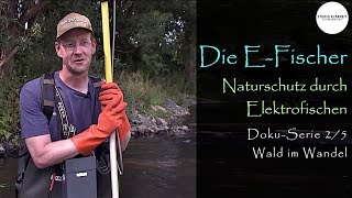 Doku Reihe 2/5 – Wald im Wandel "Elektrofischen" – Natur und Artenschutz in Sachsen