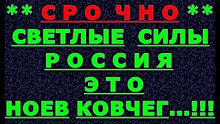 ✔ *АрхиСРОЧНО* « Россия ~ это Ноев ковчег... ! »