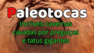 Paleotocas: as misteriosas tocas deixadas por animais pré-históricos - em 4K