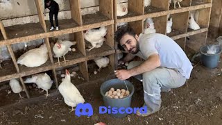 Furkan Emirce - YUMURTACI OLUYOR (DISCORD GEZİSİ)