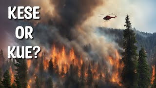 What causes wildfire | What causes fire in forests | Urdu Hindi