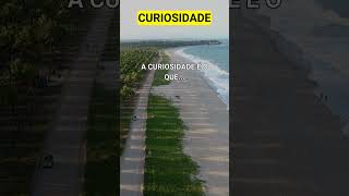 CURIOSIDADE