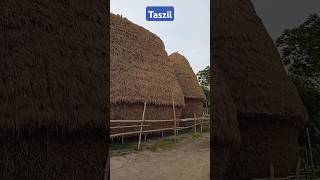 Straw house at Gosala Mayapur 🏡🐄🏚️🌳 #Straw #Bichuli #Food #Paddy #Cow #House #YtShorts #Viral #Trend