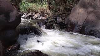 Sothuparai dam in river✌️✌️✌️