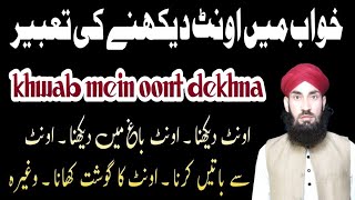 Khwab mein oont dekhne ki tabeer    خواب میں اونٹ دیکھنے کی تعبیر - Allama Muhammad Shazaib Gulzar