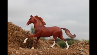 Breyer Horse Photography May-July 2022