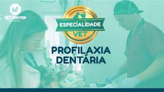 Saiba mais sobre a profilaxia dentária