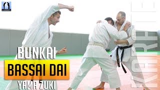 Bunkai Bassai Dai - Yama Zuki - KARATE